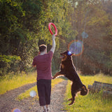 Pet Ring EVA Training Exercise Rings Dog Flying Discs Outdoor Floating Interactive Toy - Front View