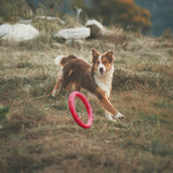 Pet Ring EVA Training Exercise Rings Dog Flying Discs Outdoor Floating Interactive Toy - Top-Down View