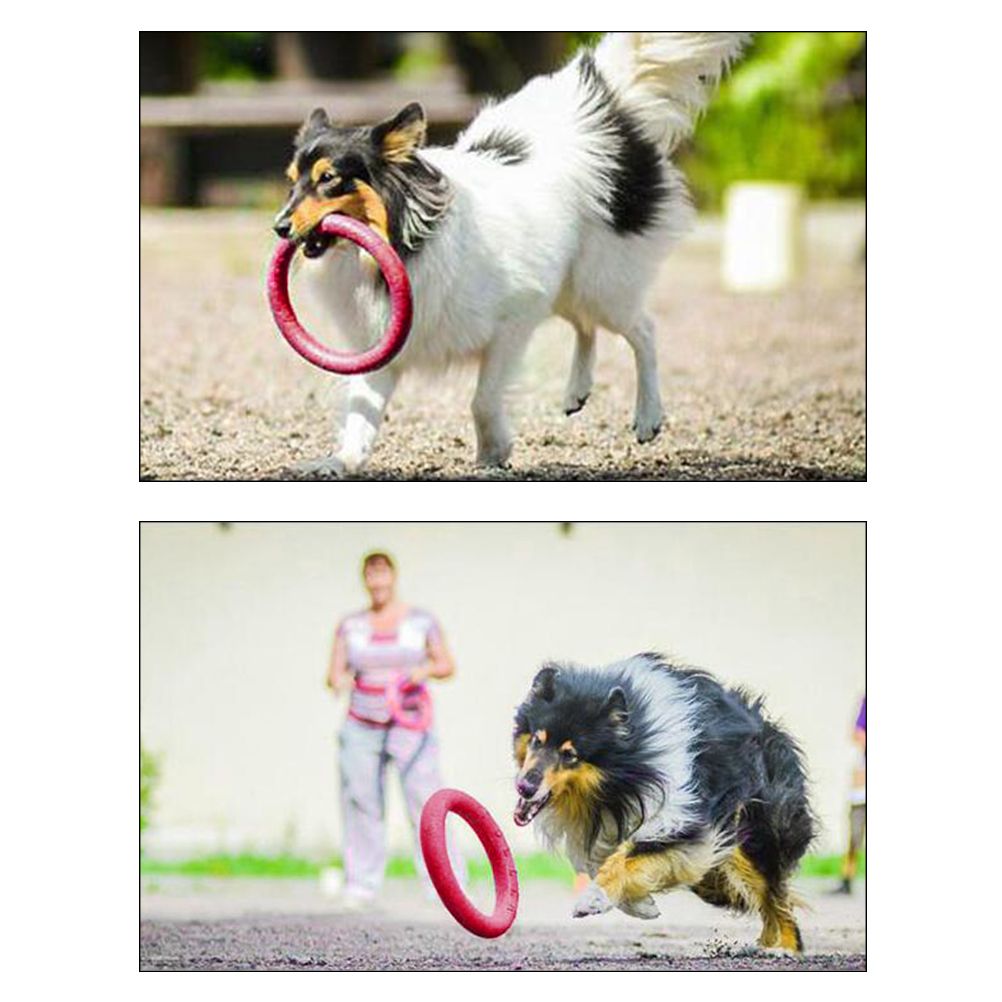 Pet Ring EVA Training Exercise Rings Dog Flying Discs Outdoor Floating Interactive Toy