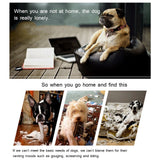 Pet Ring EVA Training Exercise Rings Dog Flying Discs Outdoor Floating Interactive Toy - Low Angle