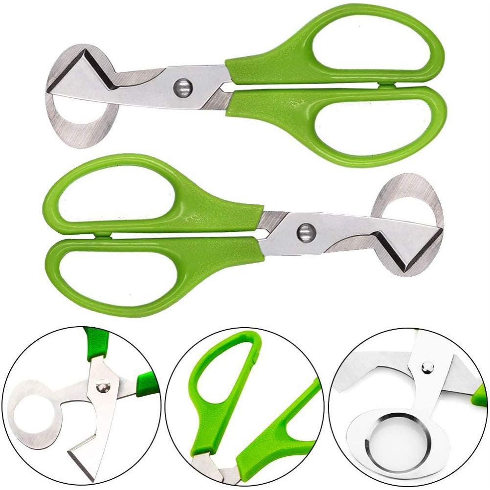 2PCS Stainless Steel Quail Egg Scissors Egg Shell Cutting Scissors Egg Divider Egg Opener Kitchen Gadget Kitchen Egg Scissors Tools