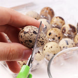 2PCS Stainless Steel Quail Egg Scissors Egg Shell Cutting Scissors Egg Divider Egg Opener Kitchen Gadget Kitchen Egg Scissors Tools - Low Angle