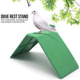 10PCS Dove Rest Stand Plastic Pigeons Bird Stand Perches Nonslip Pigeon Bird Perch Bird Holder Accessories - Rear View