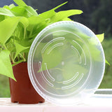 10 pcs Clear Plant Saucers Plastic Flower Pot Drip Trays for Indoors Outdoors - Side View