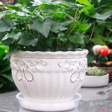 10 pcs Clear Plant Saucers Plastic Flower Pot Drip Trays for Indoors Outdoors - Close-Up Angle