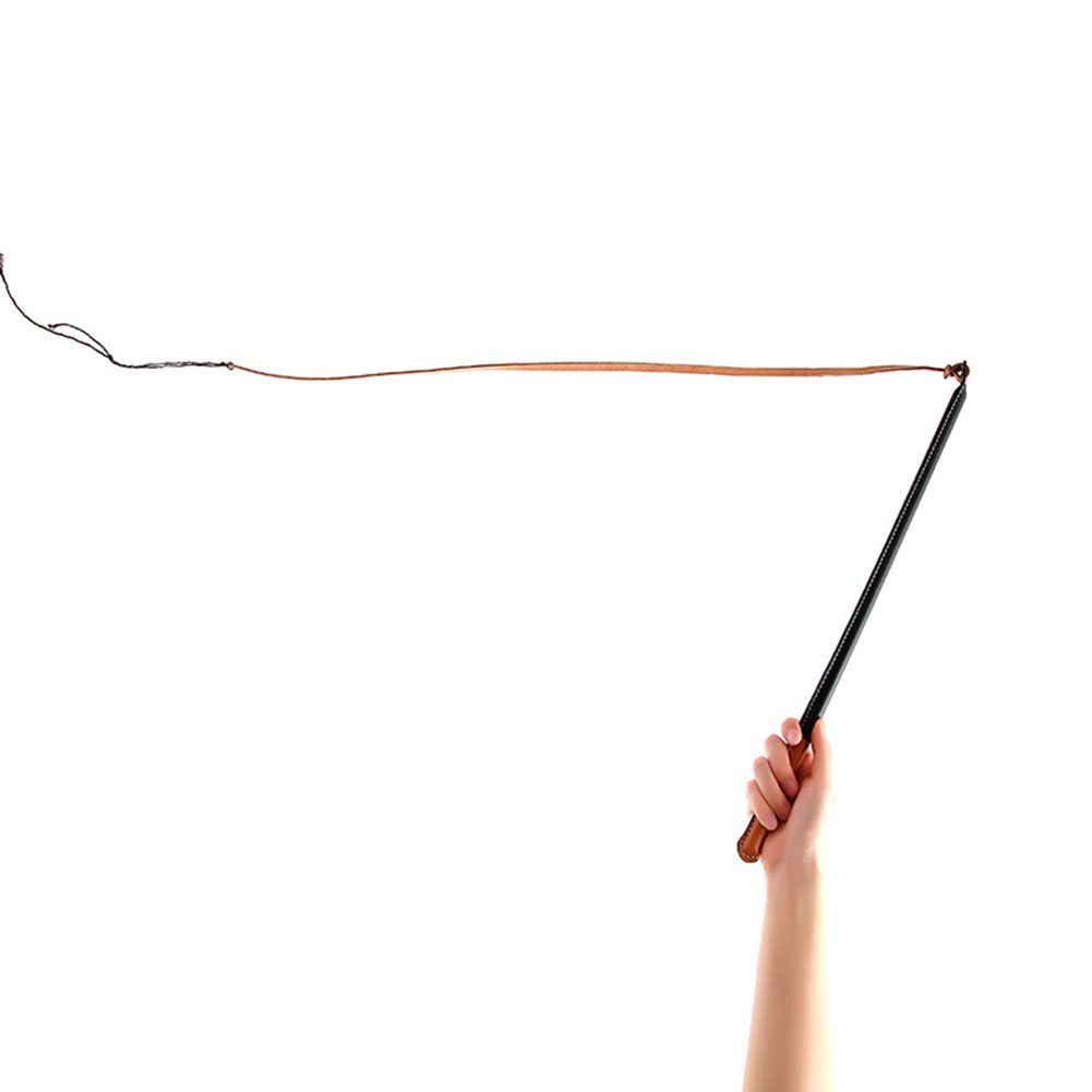 Imitation Leather Dog Training Whip Professional Dog Training Tool with Handle Pet Supplies