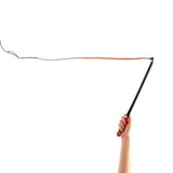 Imitation Leather Dog Training Whip Professional Dog Training Tool with Handle Pet Supplies - Rear View