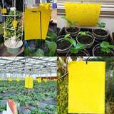 Yellow Sticky Traps Dual Sided Sticky Traps for Capturing Flies Aphids and Other Flying Insects