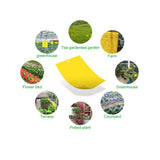 Yellow Sticky Traps Dual Sided Sticky Traps for Capturing Flies Aphids and Other Flying Insects - Rear View