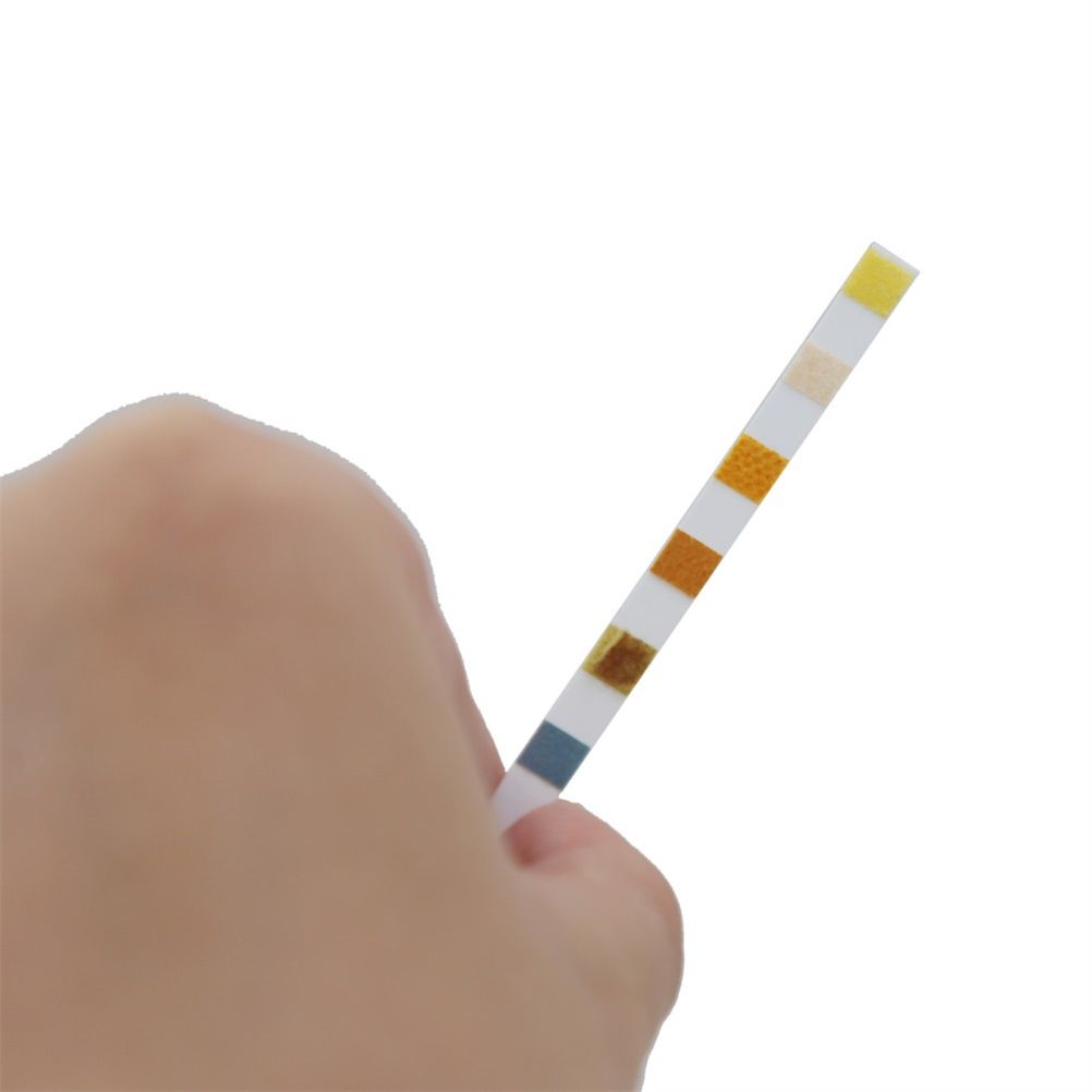 6 in 1 Water Test Strips Water Quality Testing Stripes in Pool Spas for Total Chlorine Free Chlorine Bromine Total Alkalinity Cyanuric Acid and Total Hardness