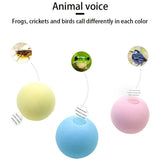 3PCS Cat Ball Toy Interactive Cat Toy Cat Catnip Toys for Cat Exercise Stimulates Cat Instinct to Hunt - Top-Down View