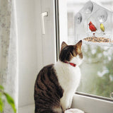Clear Glass Window Bird Feeding Window Bird Feeders Clear Acrylic Glass Window Bird Feeder - Low Angle