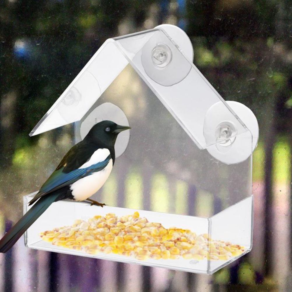 Clear Glass Window Bird Feeding Window Bird Feeders Clear Acrylic Glass Window Bird Feeder