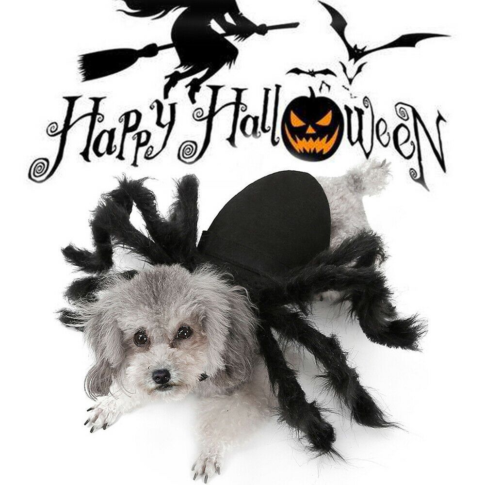 Pet Spider Costume Halloween Pet Spider Clothes Dog Cat Horror Simulation Plush Spiders Dress Up Costume