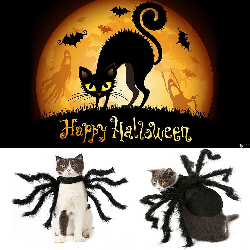 Pet Spider Costume Halloween Pet Spider Clothes Dog Cat Horror Simulation Plush Spiders Dress Up Costume