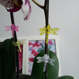 30 Pcs Dragonfly Orchid Clips Plastic Garden Plant Support Clips Flower Vine Clips - Top-Down View