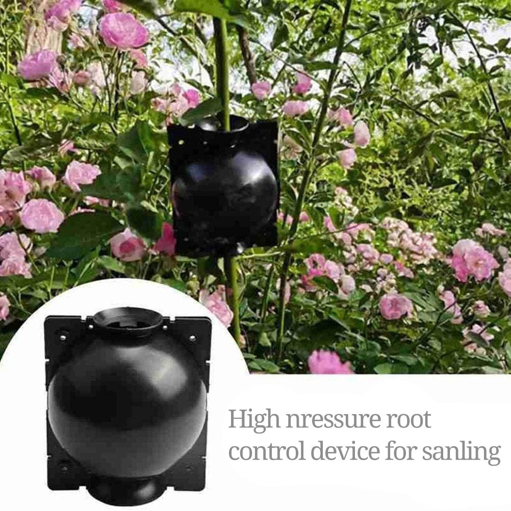 3pcs Plant Rooting Sphere Graft Rooting Growing Box Breeding Crate for Garden Plants