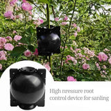 3pcs Plant Rooting Sphere Graft Rooting Growing Box Breeding Crate for Garden Plants