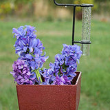 2PCS 5inch Capacity Rain Gauge Glass Replacement Tube for Garden Yard - Side View