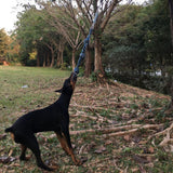 Spring Pole Dog Rope Toy Dog Tug of War Toy Outdoor Pet Exercise Rope - Extra Image