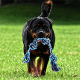 Spring Pole Dog Rope Toy Dog Tug of War Toy Outdoor Pet Exercise Rope - Extra Image