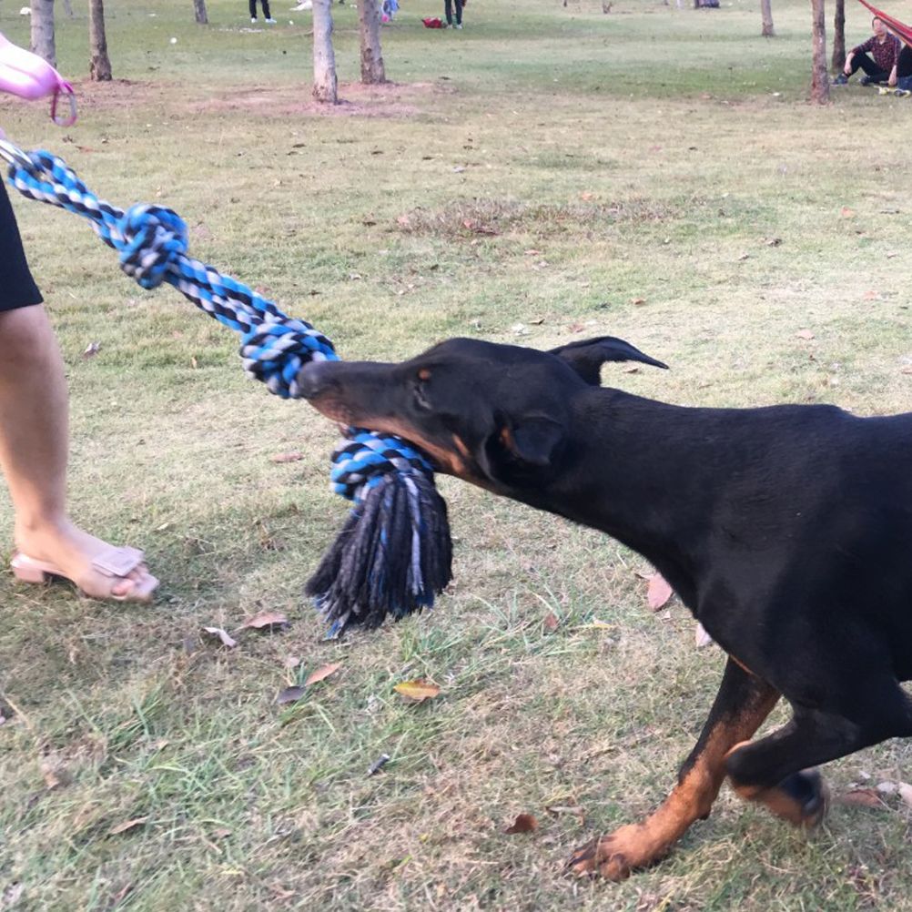 Spring Pole Dog Rope Toy Dog Tug of War Toy Outdoor Pet Exercise Rope