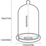 Clear Glass Jar Dome Cover Decorative Clear Glass Dome Cloche Bell Cover Fresh Flower Glass Cover for Wedding Party Valentine and Bamboo Wood Flat Bottom - 45-Degree Angle