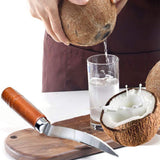 Stainless Steel Coconut Stripper with Durable Wooden Handle Coconut Opener for Kitchen Home Coconut Scraper Tools - Rear View