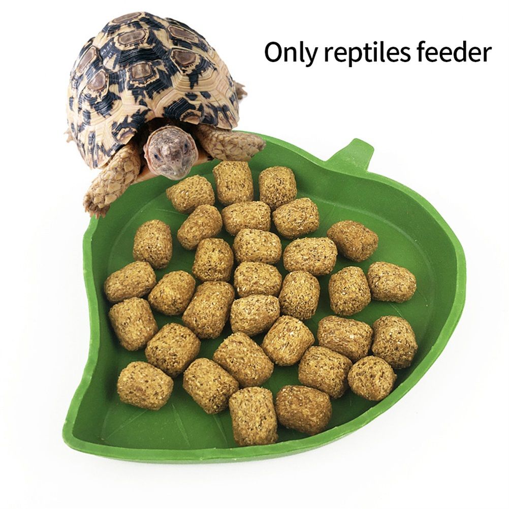 2PCS Leaf Reptile Food Water Bowl Plate Dish for Tortoise Snake Crawl Pet Drinking and Eating