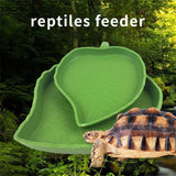 2PCS Leaf Reptile Food Water Bowl Plate Dish for Tortoise Snake Crawl Pet Drinking and Eating - Rear View