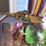 2PCS Leaf Reptile Food Water Bowl Plate Dish for Tortoise Snake Crawl Pet Drinking and Eating