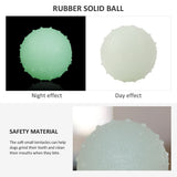 Pet's Luminous Ball Bite Resistant Dog Ball Soft Pet Toy Puppy Interactive Supplies