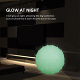 Pet's Luminous Ball Bite Resistant Dog Ball Soft Pet Toy Puppy Interactive Supplies