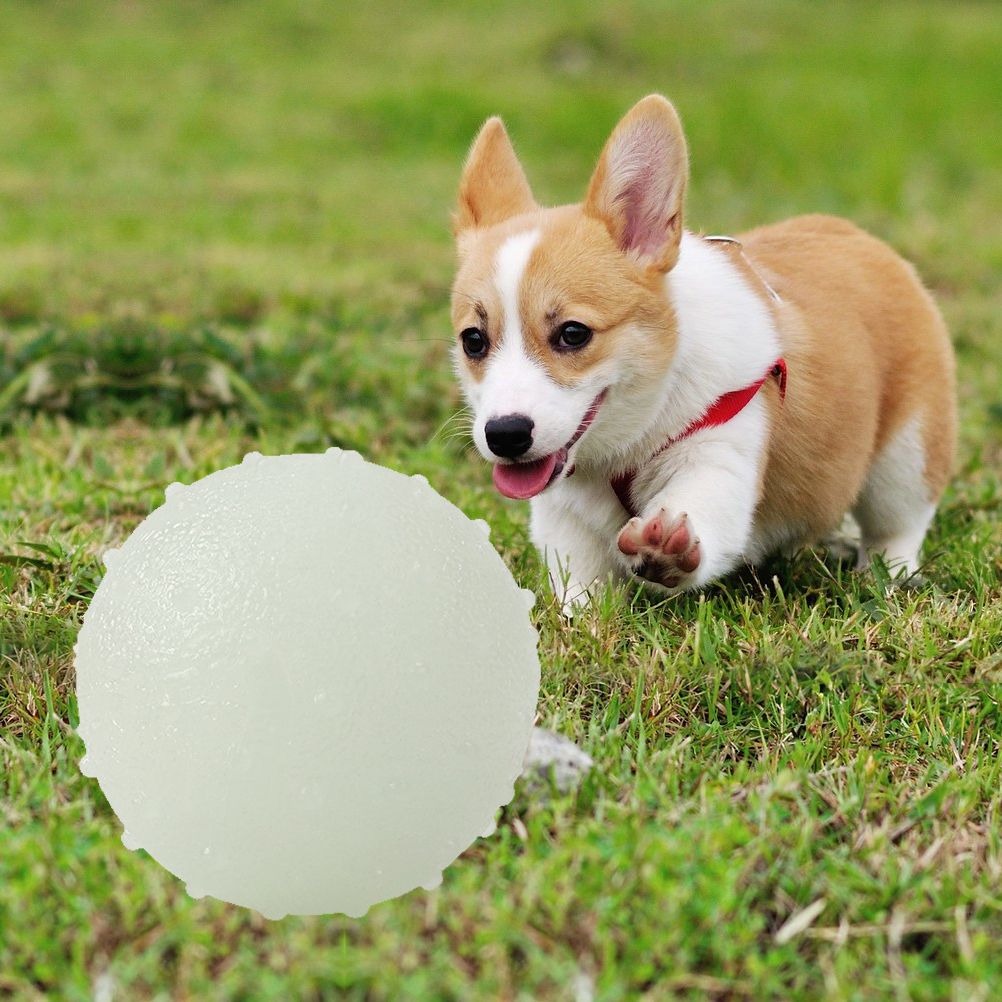Pet's Luminous Ball Bite Resistant Dog Ball Soft Pet Toy Puppy Interactive Supplies