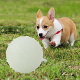 Pet's Luminous Ball Bite Resistant Dog Ball Soft Pet Toy Puppy Interactive Supplies