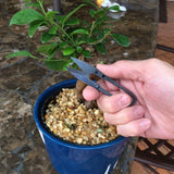 Bonsai Pruning Shears Mini Bonsai Scissors Small Garden Cutters for Buds and Leaves - Extra Image