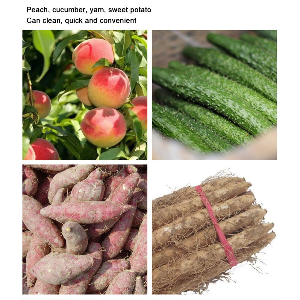 Random Veggie Vegetable Scrubber Scrub Cleaning Brush Kitchen Cleaner Carrot Potato Surface Brush Kitchen Tool