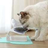 Cat Bowls Pet Feeding Bowl Cat Water Bowl Durable Fall Resistant 15 Degree Tilt Single Cat Food Bowl - Front View
