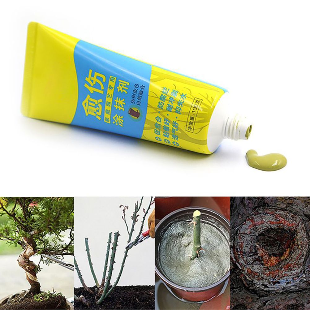 100g Bonsai Grafting Paste Plant Wound Healing Agent with Brush Pruning Paste