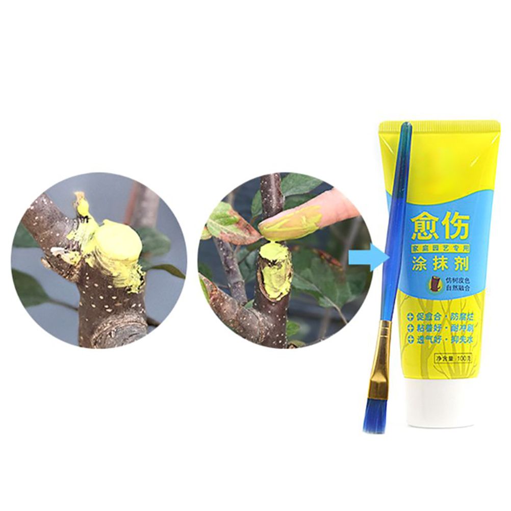 100g Bonsai Grafting Paste Plant Wound Healing Agent with Brush Pruning Paste