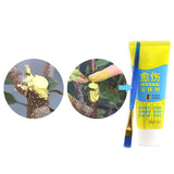 100g Bonsai Grafting Paste Plant Wound Healing Agent with Brush Pruning Paste - Low Angle