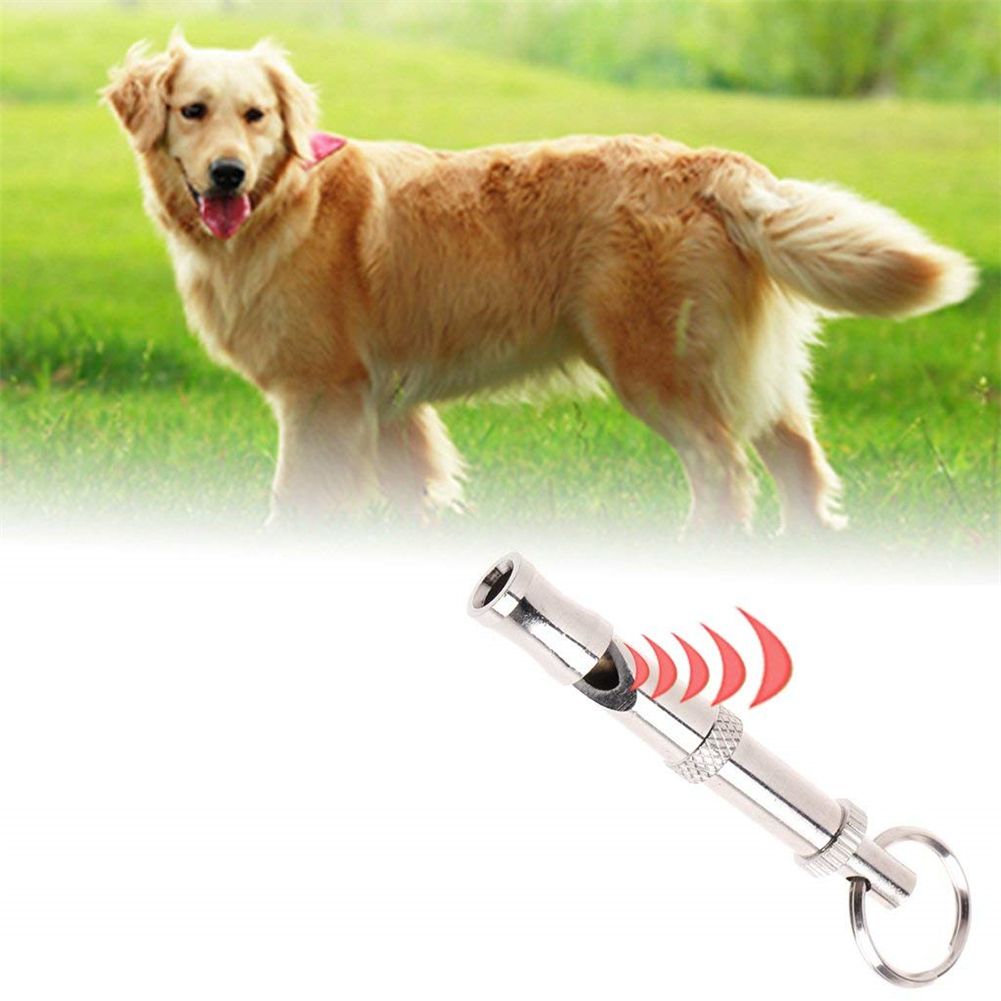 Portable Pet Dog Whistle Keychain Two Tone Ultrasonic Flute Stop Barking Sound Repeller Dog Training Whistle