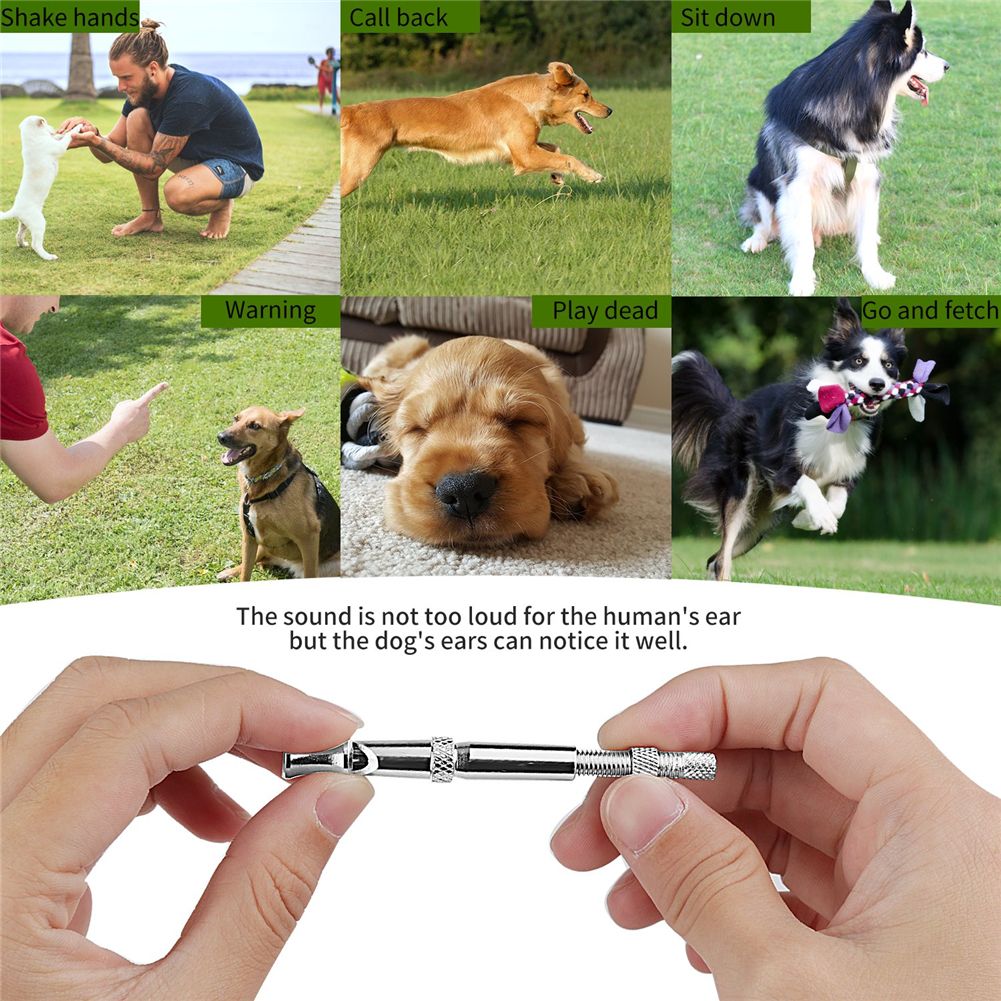 Portable Pet Dog Whistle Keychain Two Tone Ultrasonic Flute Stop Barking Sound Repeller Dog Training Whistle
