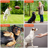 Portable Pet Dog Whistle Keychain Two Tone Ultrasonic Flute Stop Barking Sound Repeller Dog Training Whistle