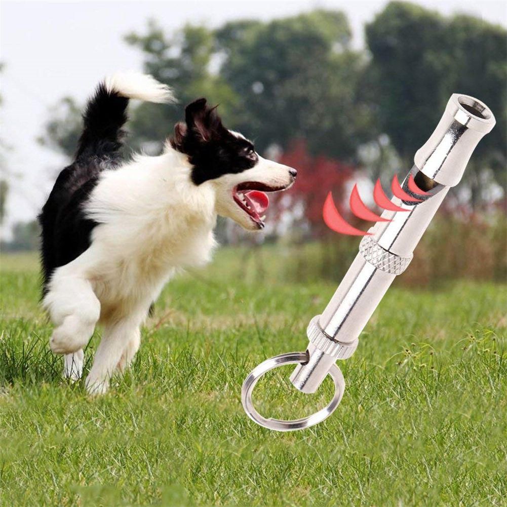 Portable Pet Dog Whistle Keychain Two Tone Ultrasonic Flute Stop Barking Sound Repeller Dog Training Whistle