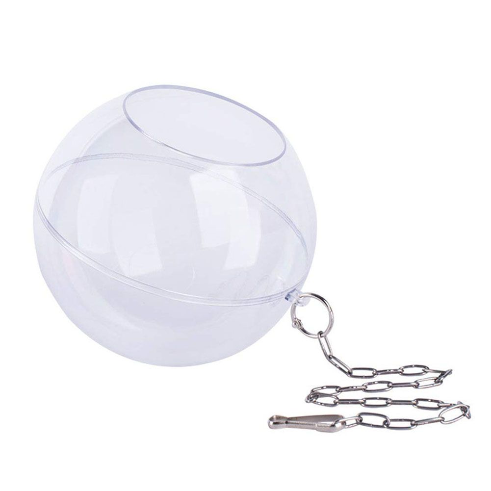 Hanging Foraging Ball Chicken Foraging Toy Plastic Pet Feeding Ball for Bird Hens