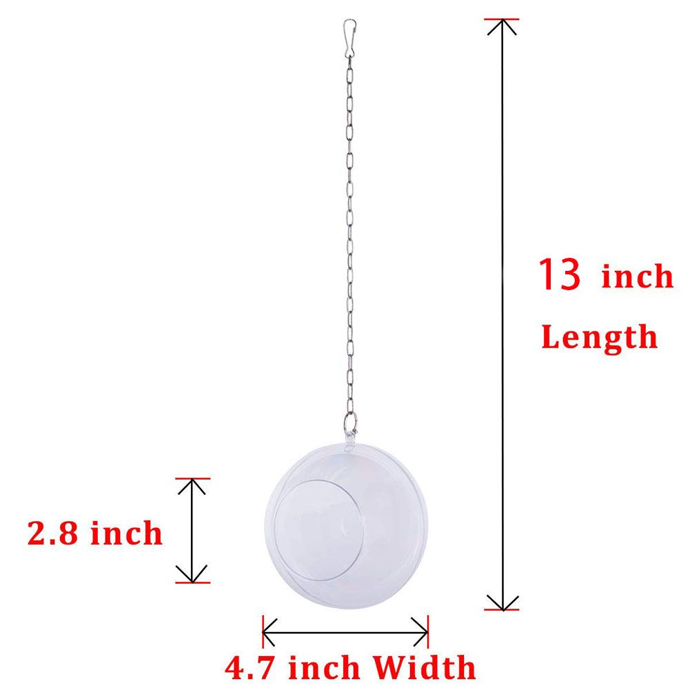 Hanging Foraging Ball Chicken Foraging Toy Plastic Pet Feeding Ball for Bird Hens