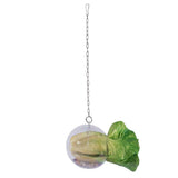 Hanging Foraging Ball Chicken Foraging Toy Plastic Pet Feeding Ball for Bird Hens