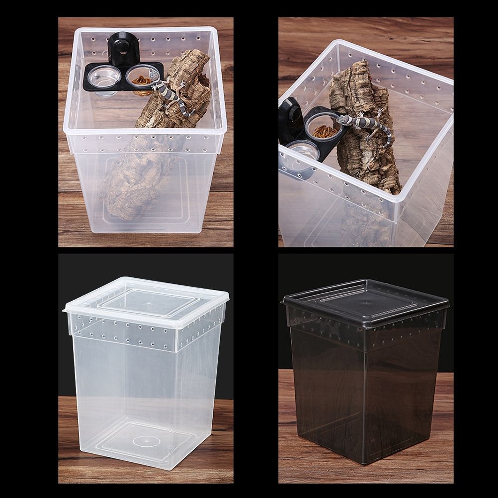 Reptile Food Bowl Insect Breeding Container Wall Hanging Water Dispenser for Spiders Lizards