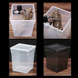 Reptile Food Bowl Insect Breeding Container Wall Hanging Water Dispenser for Spiders Lizards